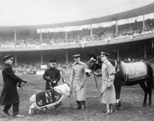November 1923 --- This photo shows the Navy goat and the Army mule wishing each other good luck, in their only peculiar language, before the game. --- Image by © Bettmann/CORBIS